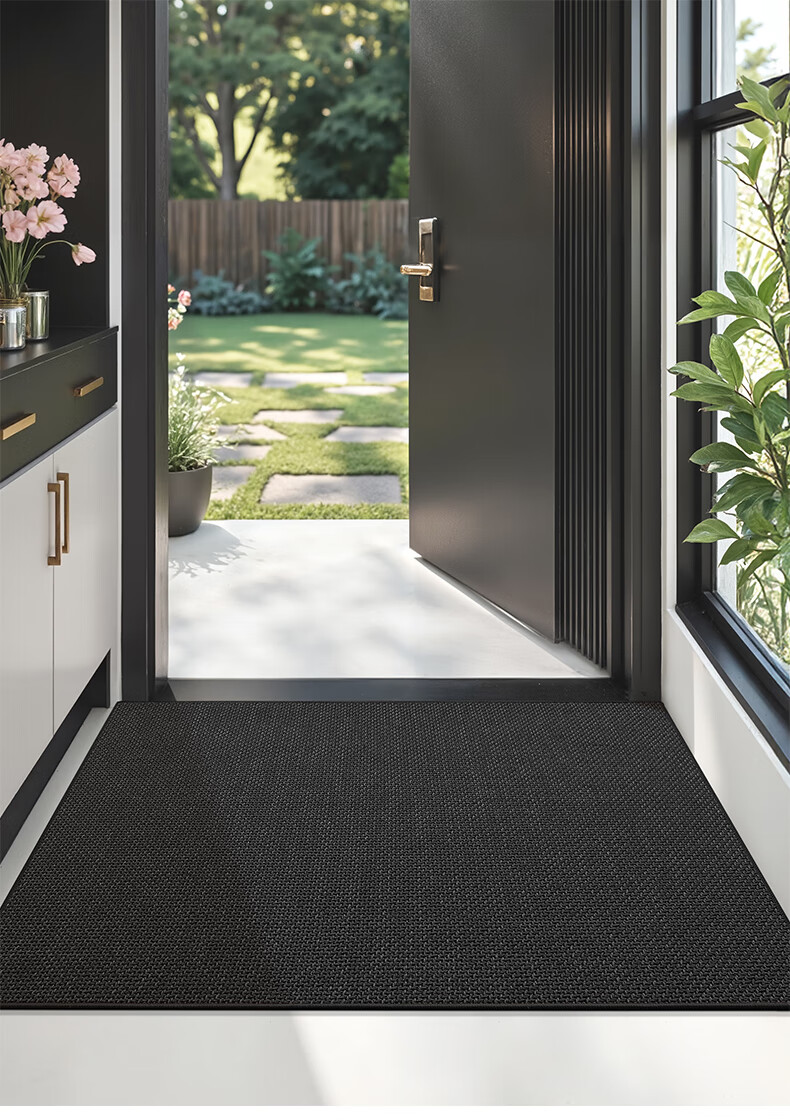 Dajiang Entrance Mat, Doorway Rug, Foyer Mat, Luxurious High-End Carpet for Entryway, 60x90cm 3