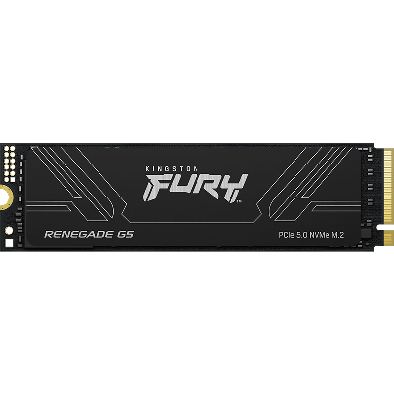 Kingston 2TB SSD, M.2 Interface (NVMe PCIe 5.0×4), FURY Renegade G5, Read Speed up to 14700MB/s, AI Computer Accessory