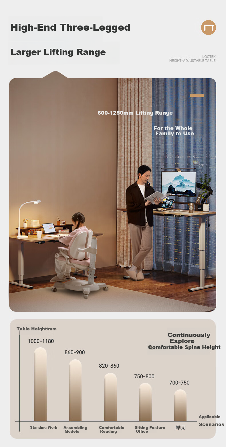 Loctek Electric Height Adjustable Desk, Computer Desk, Standing Desk for Office And Study, E5X-1.4M, Gray Wood Grain Color 3
