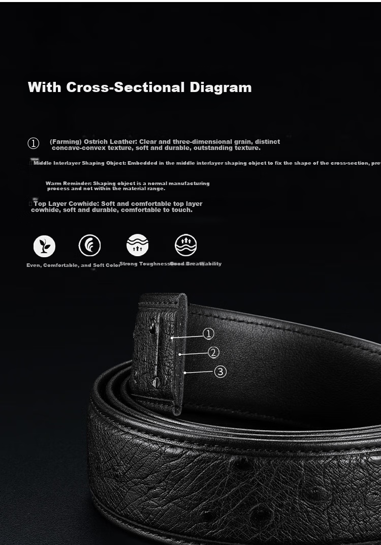 Goldlion Men's Leather Belt with Automatic Buckle, High-End Wooden Gift Box, Ostrich Leather Trouser Belt, Birthday Gift 2