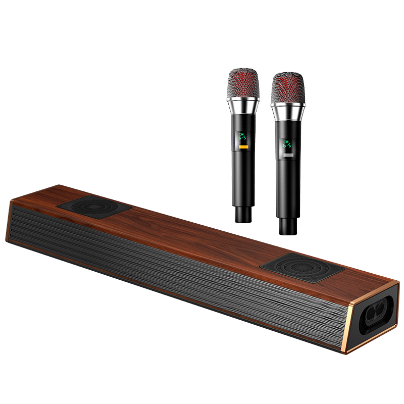 Newmine Echo Soundbar Home KTV Sound System Karaoke Machine Home Theater All-in-One Surround Stereo KTV Speaker Wireless Bluetooth Speaker for Living Room G69X