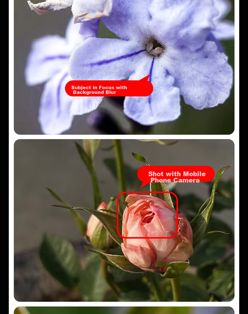 Kase Smartphone Lens, Master-Level Baimei Plus, Flower Bird Fish Insect Jewelry Jewelry Mobile Macro Close-Up Micro Photography Lens 3