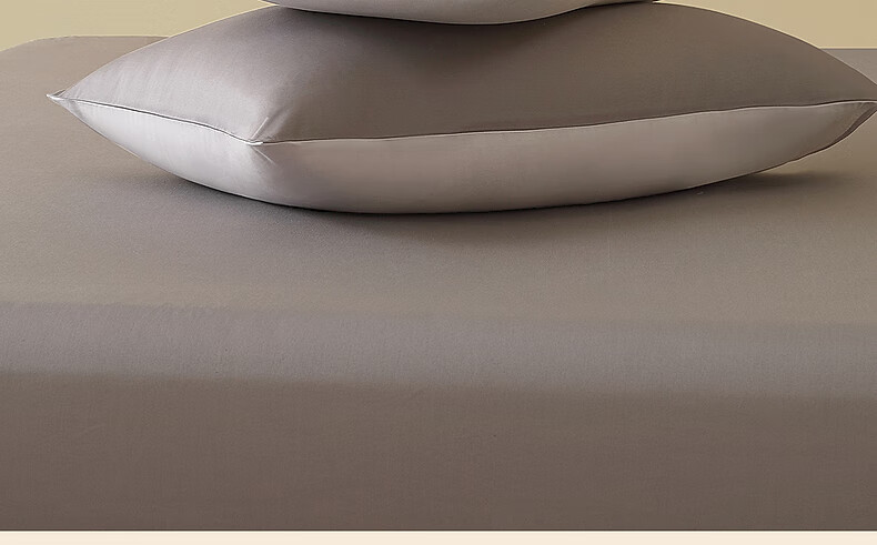 Shuixingjiafang Pillowcase, 100% Pure Cotton, Class A Pillow Cover, Set of Two, for Home And Dormitory Use, 48x74cm, Blue 14