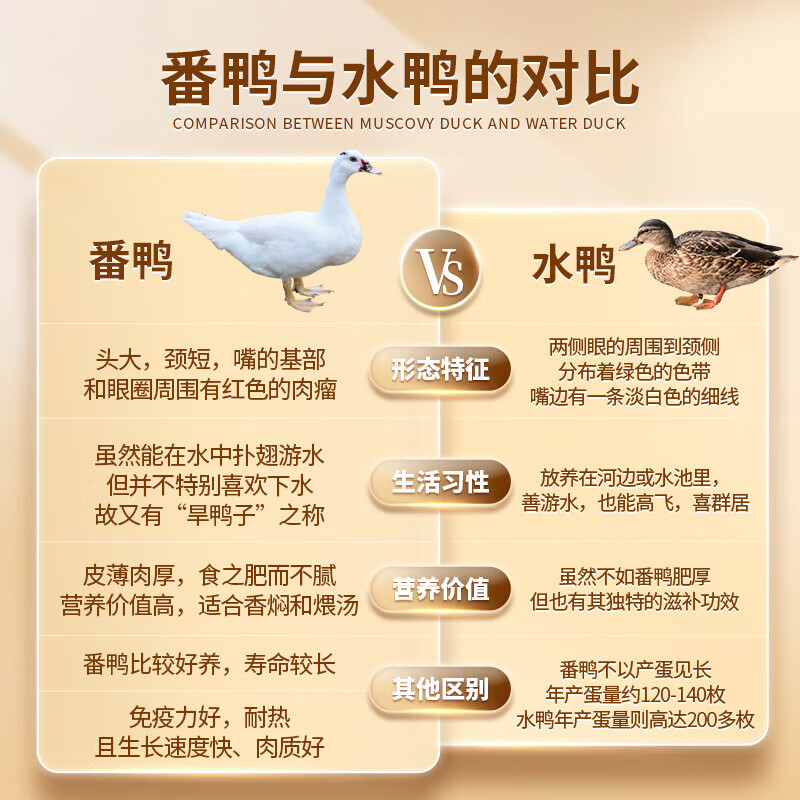 温氏广东农养番鸭净重4斤 冷冻生鲜鸭肉土鸭子姜母鸭 瘦肉型飞鸭慢养