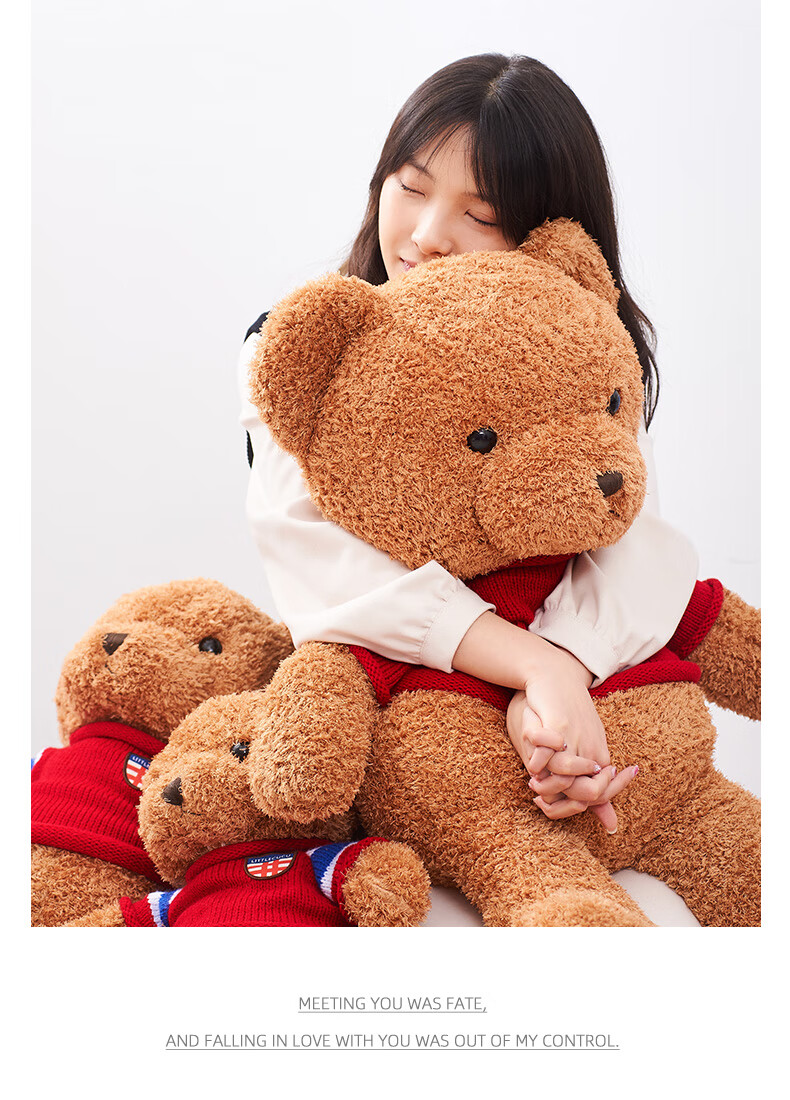 HAI HUI HOME Blue British Style Teddy Bear Plush Hugging Bear Doll Toy for Holidays, Birthdays, Valentine's Day Gift 50cm 5
