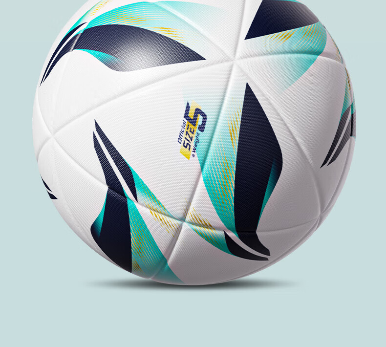 Li-Ning Size 5 Soccer Ball Professional Training Standard Football for Adult Middle School Exam Gift 3