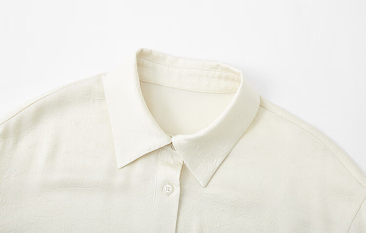 Dme [Four Seasons Wear] Spring Simple Style Commuter Shirt POLO Collar Wrinkled Shiny Texture Blouse Women's Top 6