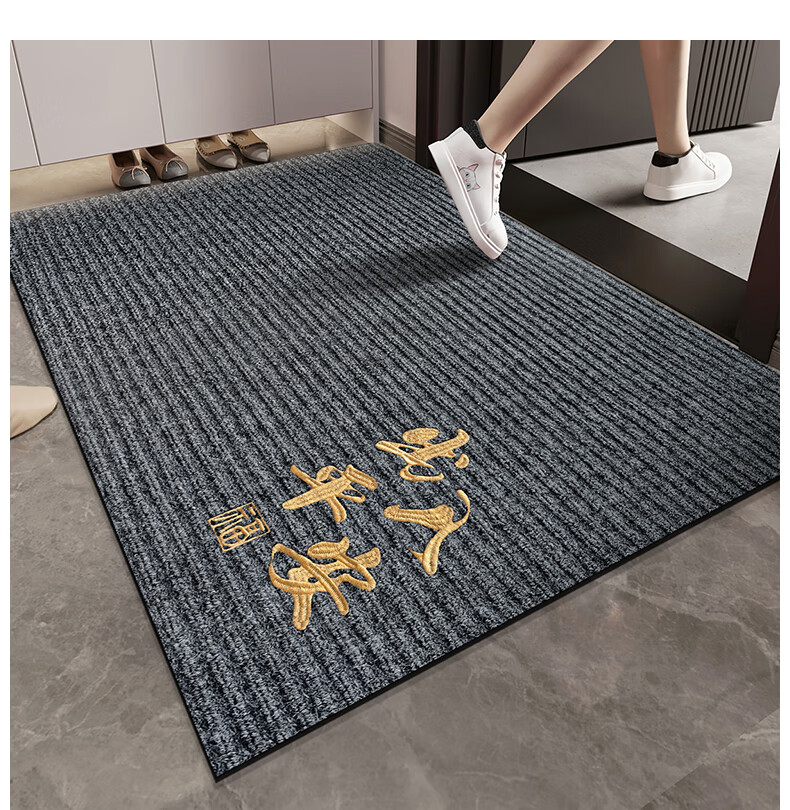 Ruien Simple Entrance Door Mat, Non-Slip Rubber Bottom, for Doorway, Foot Scrubbing Mat, Outdoor Foyer Mat, Dirt-Resistant Carpet 2