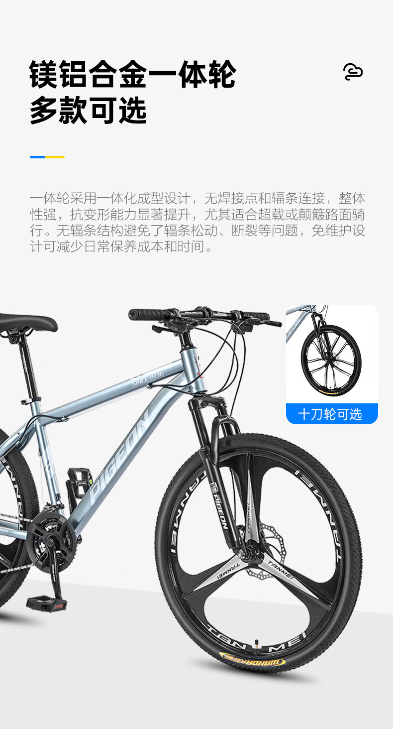FG FLYING PIGEON Mountain Bike, 26-Inch Aluminum Alloy Frame, 24-Speed, for Men And Women, Adults, Students, Teenagers, Off-Road Bicycle, Black And Silver 2