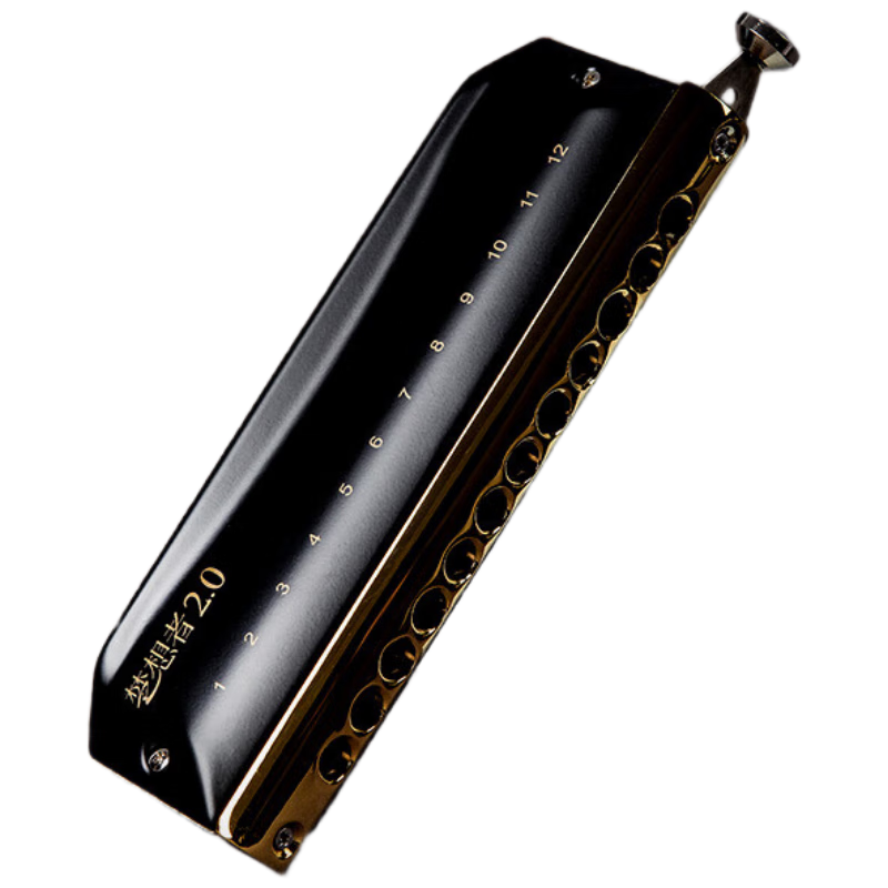 EAST TOP Chromatic Harmonica, 12 Holes, 48 Keys, Black Model, Mengxiangzhe 2.0, Professional Performance And Beginner Practice Universal Model