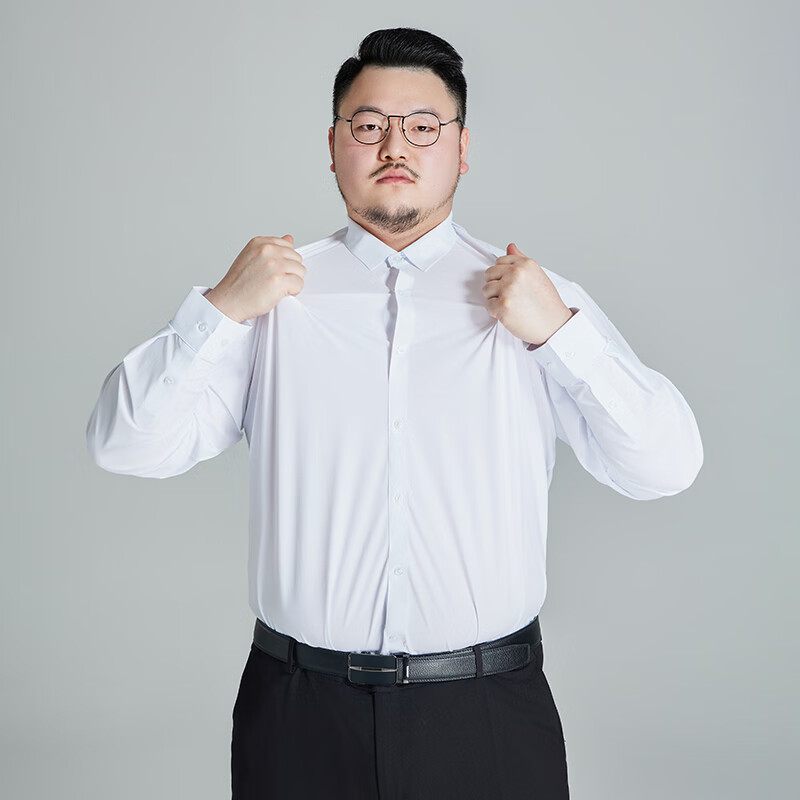 Ayoupang Plus Size Pullover Shirt, Wrinkle-Resistant Seamless Long-Sleeve Blouse, Business Casual Work Undershirt for Me 4