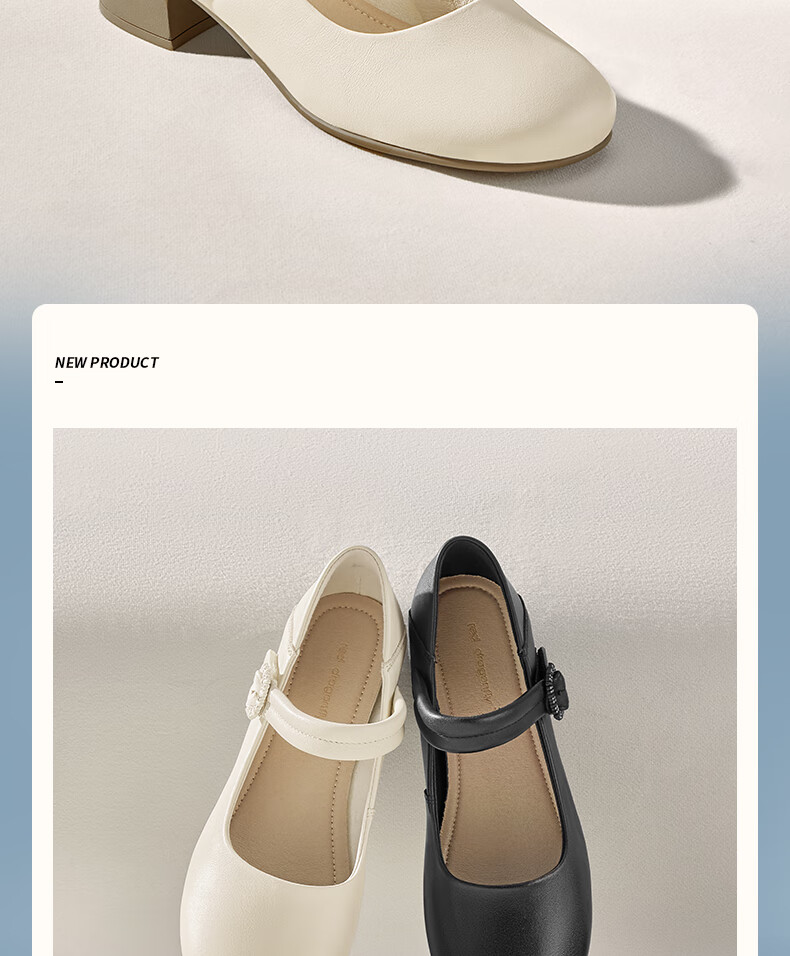 RED DRAGONFLY Shallow Women's Flats, Spring Women's Shoes, Mary Jane Thick Heel Comfortable Women's Shoes WJB15806 Beige 40 2