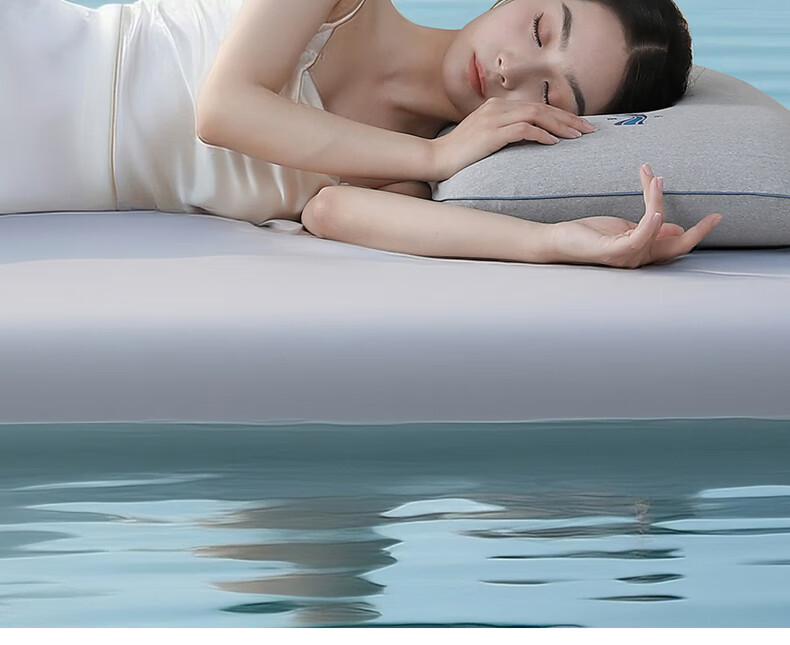 Bailisi Shuixing Jiafang Brand Pillow, Memory Foam Pillow, Cervical Pillow Core, Deep Sleep Care, Slow Rebound, Specialized for Sleeping, Memory Cotton Pillow 19