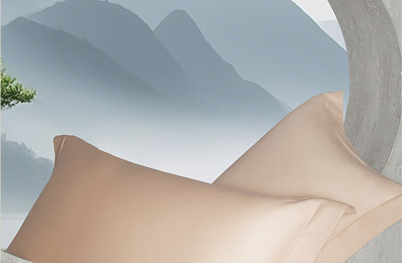 Bailisi Pillowcase, 60S Pure Cotton 100% Long-Staple Cotton Pillowcase, Class A Bedding, Satin Breathable Home Double Pillowcase 10