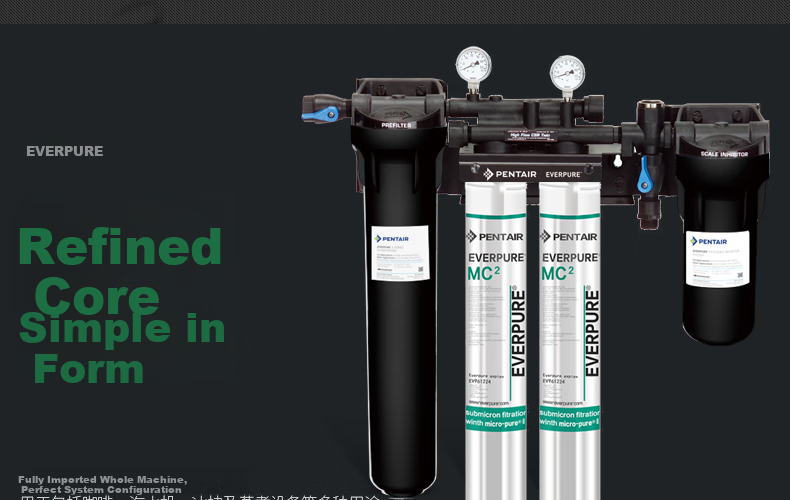 Everpure Coffee Shop/bubble Tea Shop/chinese Restaurant, 3.3 Liters/minute, 3300L Water Production Capacity, High-End Commercial Water Purifier, HIGH FLOW CSR TWIN-MC2 7
