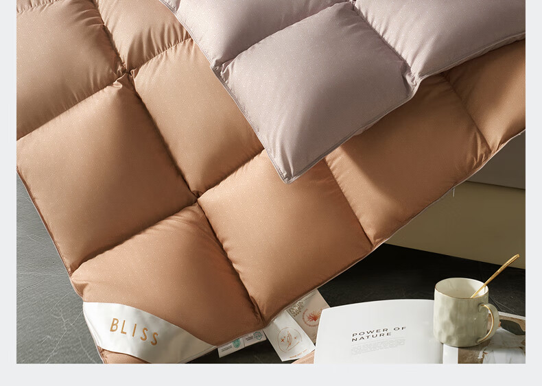 Bellees 90% Duck Down Quilt A-Grade Fabric Antibacterial Autumn Winter Warmth 1000g Filling 16