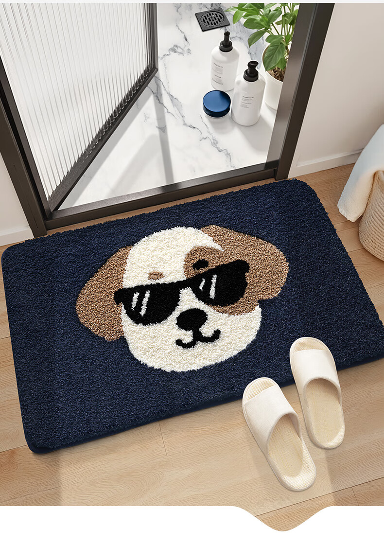 Da Jiang Bathroom Floor Mat Absorbent Bath Mat Toilet Door Entrance Rug 40x60cm 11