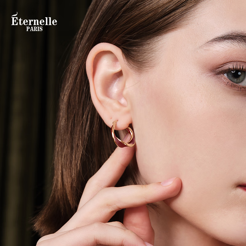 Eternelle French Eternal Luxury Earrings, Niche Stud Earrings, New Style Ear Jewelry, High-End Feel, Birthday Gift