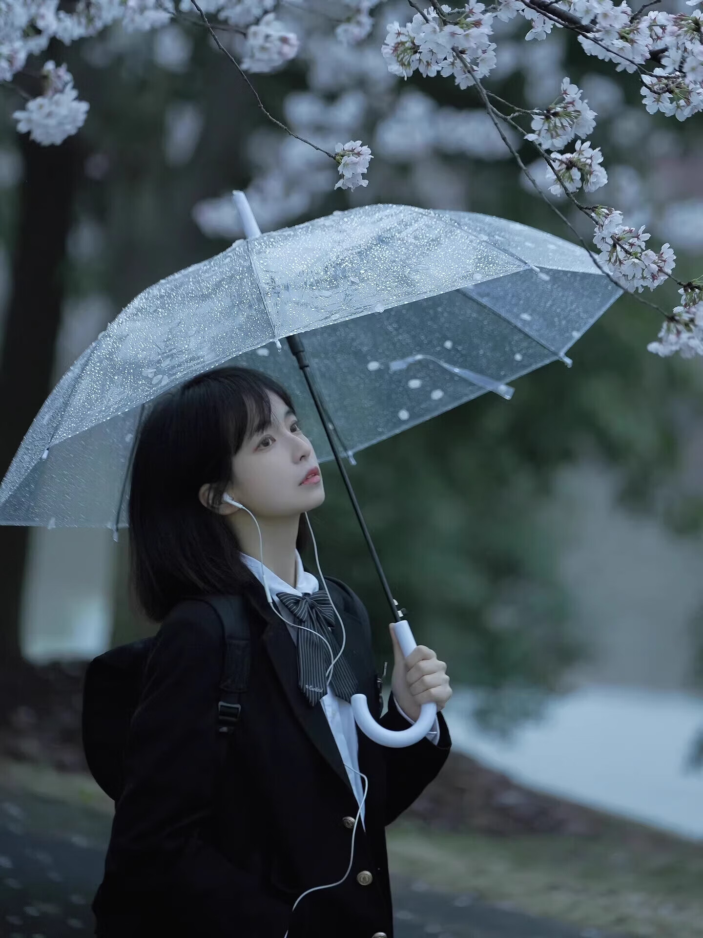 Bahainiao Transparent Umbrella, Long Handle, Manual, Korean Style, Ultra-Lightweight, Portable, Student Umbrella for School Use 1