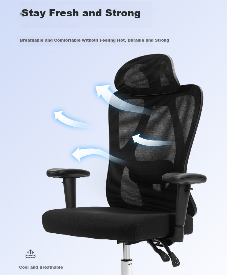 Deli KF221-J Ergonomic Chair, Height Adjustable Armrest Office Computer Chair, Alloy Feet with Footrest, Premium Versio 10
