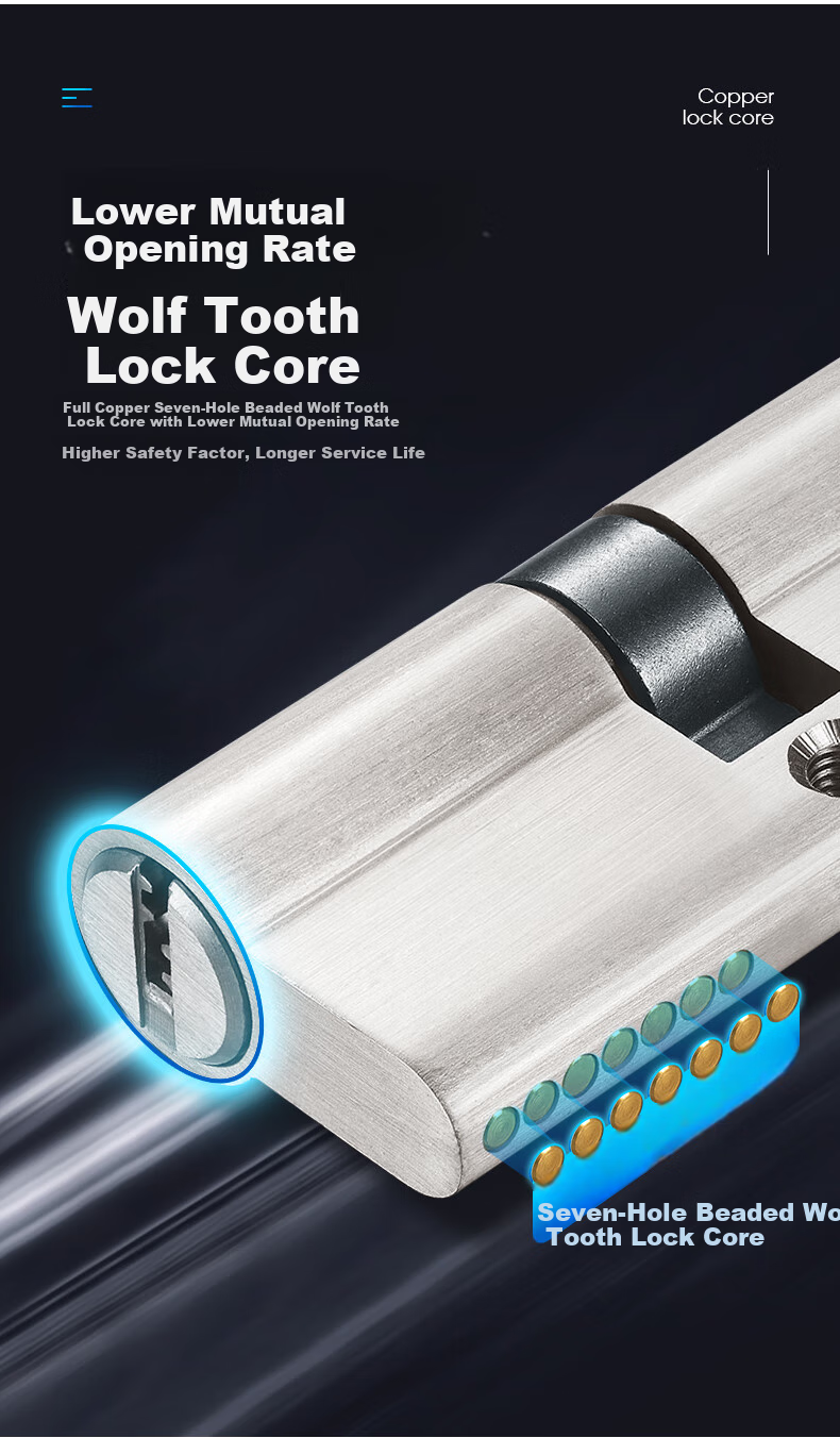 Fly.Globe Stainless Steel Door Lock, Interior Bedroom Door Lock, Anti-Theft Lock, Door Handle, AH66 9
