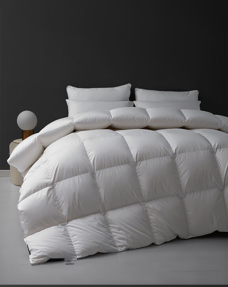 Wuyinliangpin 100% White Goose Down Comforter, Feather And down Duvet Winter Quilt Approximately 8 Jin [Filling 2800g] 200*230cm White 10
