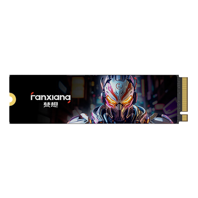 FANXIANG 1TB SSD Solid State Drive M.2 NVMe PCIe 5.0 Independent Cache High-Speed Gaming S910PRO 14000MB/s Read Speed