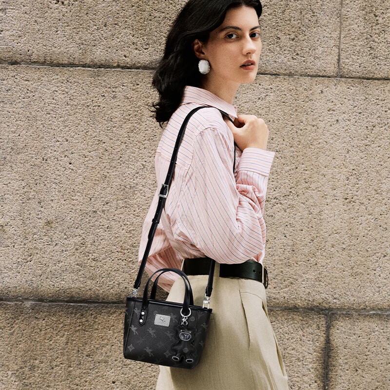 NUCELLE Pegasus Mini Tote Bag, New Light Luxury Niche Basket Handbag, Commuter Shoulder Crossbody Women's Bag Gift