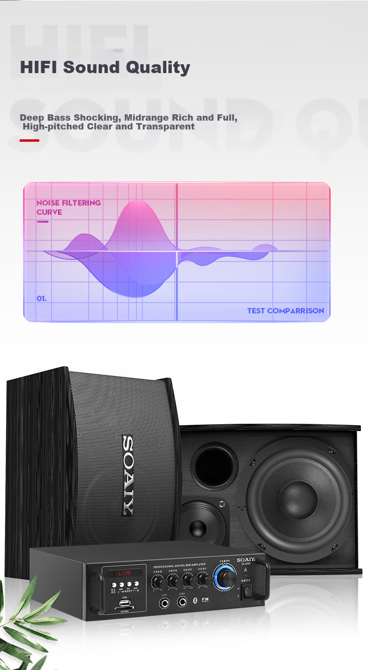 Soaiy 5.5-Inch KTV Sound System Set, Home Karaoke Bluetooth Amplifier, Home Theater Singing Equipment, Conference Room Commercial Store Training Professional Amplifier Speaker Combinatio 5