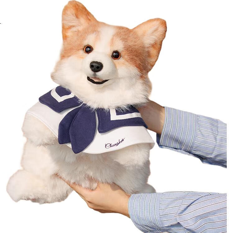 White Image 1