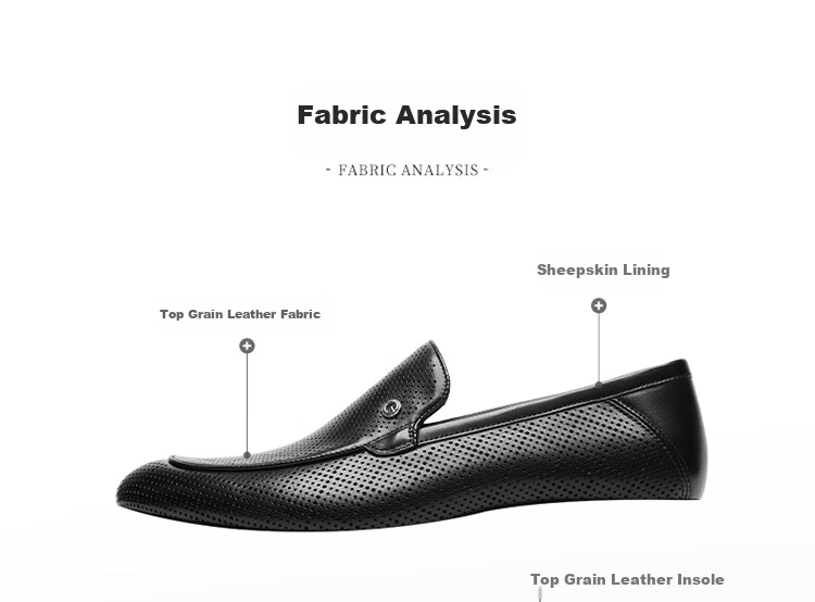 Goldlion Men's Loafers, Perforated Breathable Sandals, Business Casual Shoes G580420170AAD Black Size 41 19