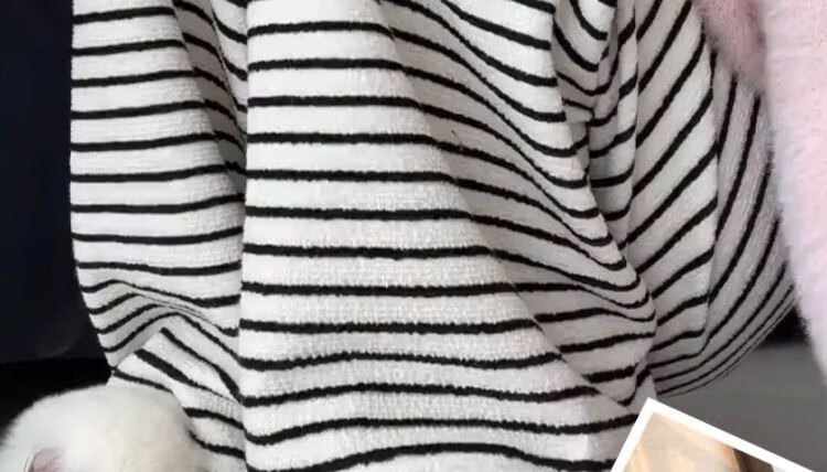 Shiduo Maternity Pants Spring Autumn Wide-Leg Striped Loose Plus Size Leggings Casual Pants Autumn XL 2