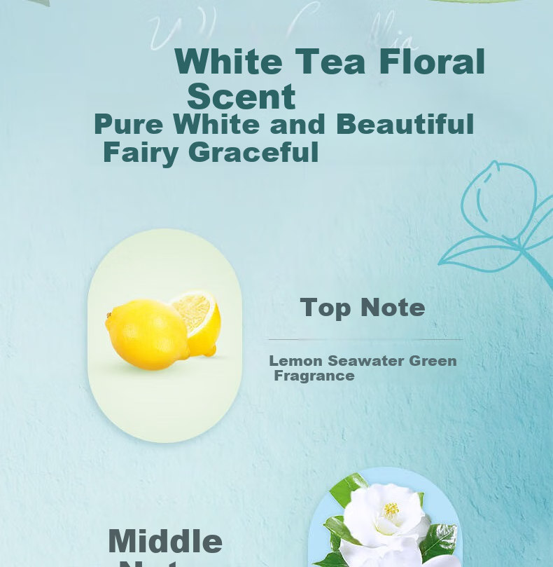 Jierou Facial Tissues, Face White Tea Scent, 3-Ply, 120 Sheets, 6 Packs, PR248-48R/PR295 Single Pack 3