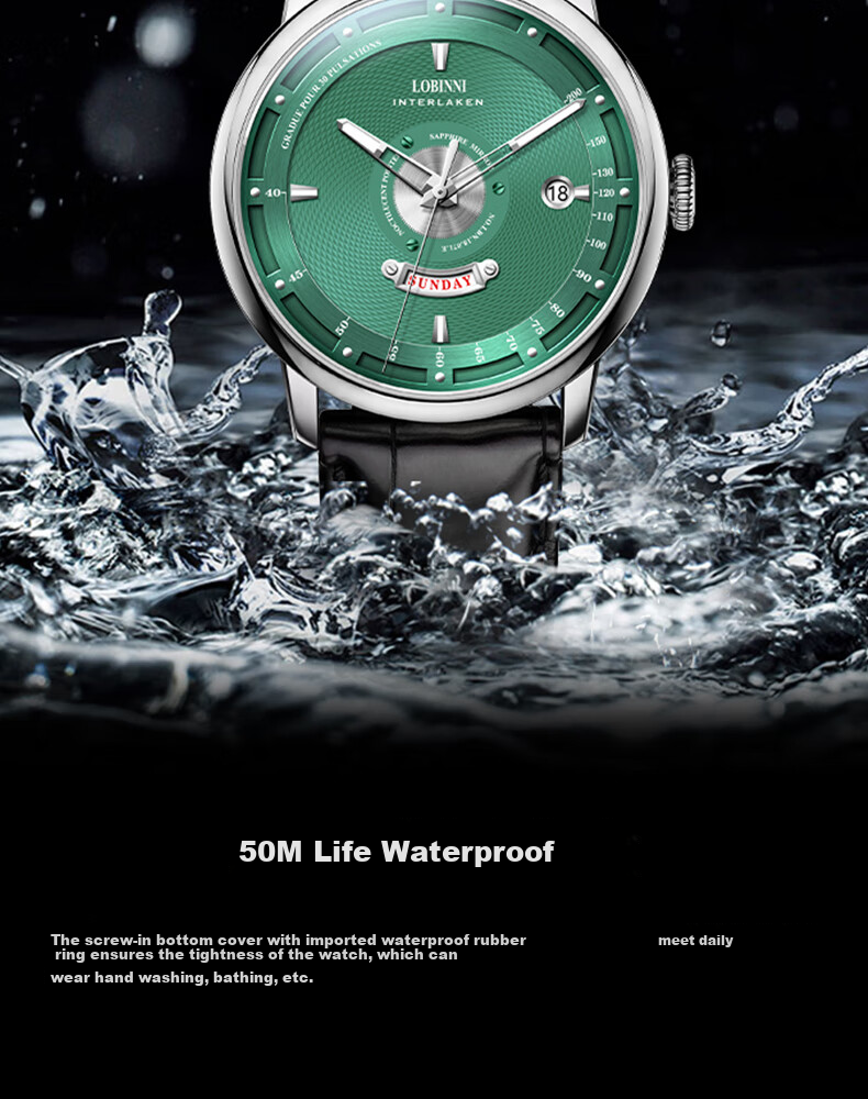 LOBINNI Men's Mechanical Watch, Luminous Casual Waterproof Back-Transparent Wristwatch for Men 18087 16