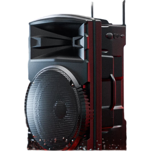 Портативная колонка Newmine N521, 12 дюймов, с двумя микрофонами и адаптером, высокая мощность, Bluetooth, караоке, уличная