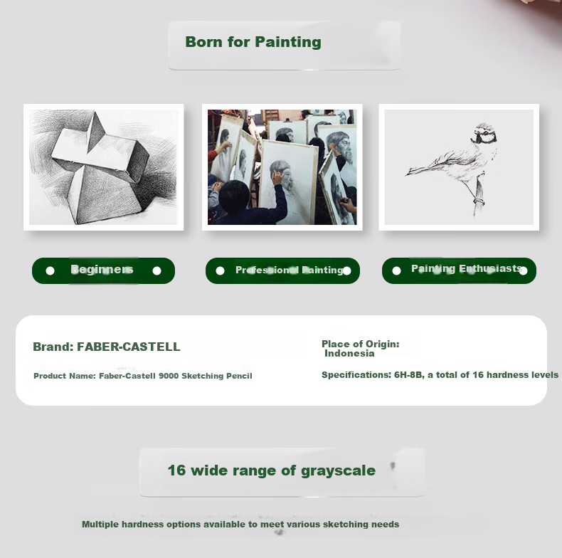 Faber-Castell 9000 Sketching Pencils HB Professional Drawing Design Pencils for Adults, Art Students, Beginners, Hand-Drawn Special Use, 12-Pack Art Sketching 3