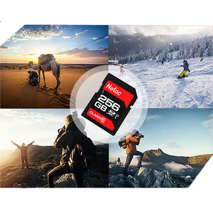 Карта памяти Netac 256GB SD U1 C10, скорость чтения до 90 МБ/с, для фото- и видеосъемки в Full HD, для цифровых камер и видеокамер