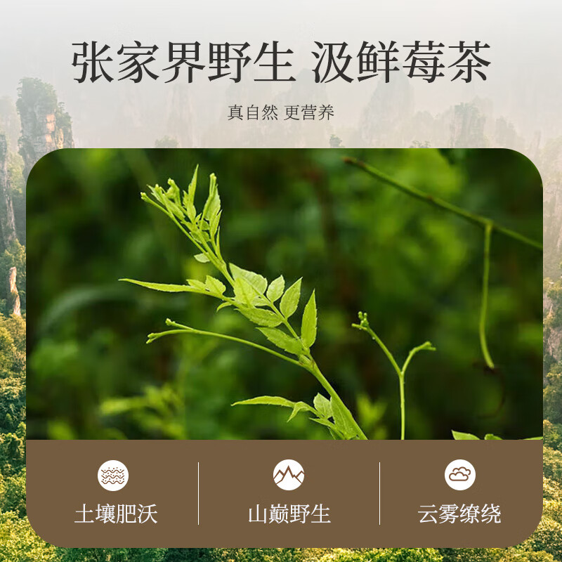 贡苑 张家界高山莓茶40g 特优级富含黄酮龙须嫩芽尖土家永顺野生霉茶