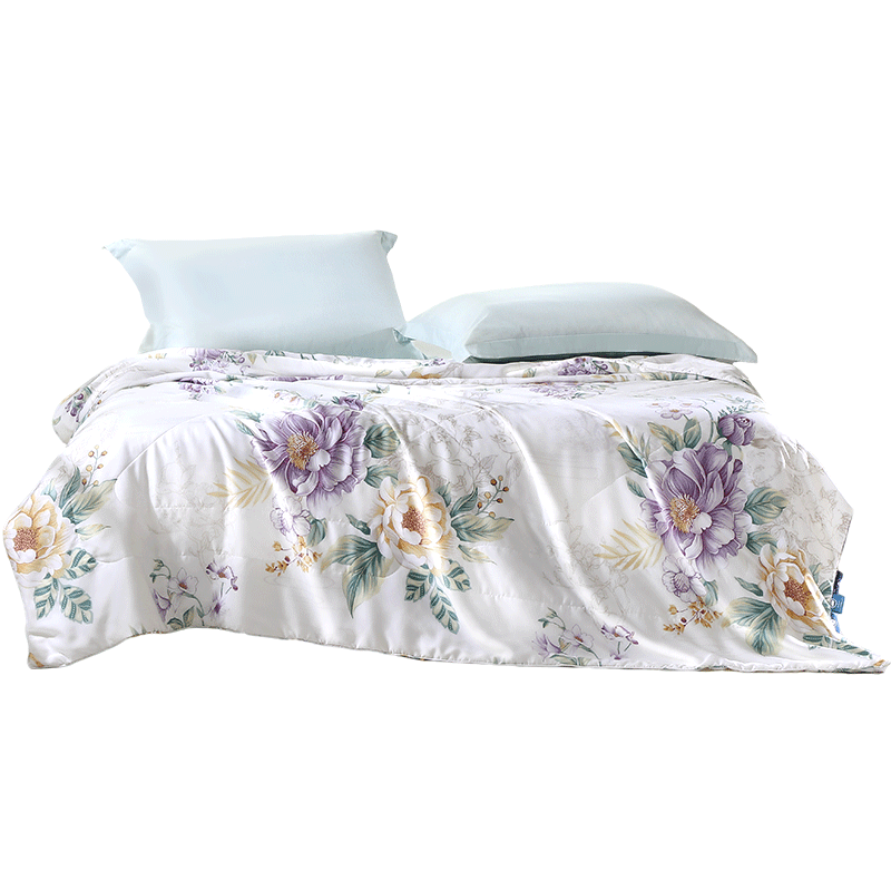 Fuanna 100% Mulberry Silk Quilt Summer Cooling Blanket 60s Tencel Machine Washable Air Conditioning Quilt Double Summer Quilt 230x229cm