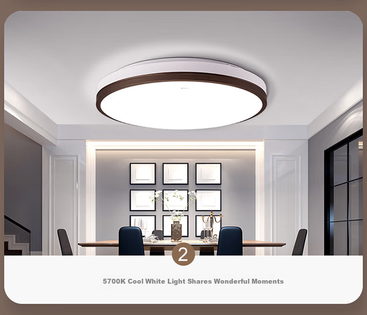 BULL Ceiling Light, Langchen Full Spectrum Bedroom Light, MX-C048A Stepless Dimming, 48W, Ra97 Color Rendering Index, with Display Indicator, Installation Included 9