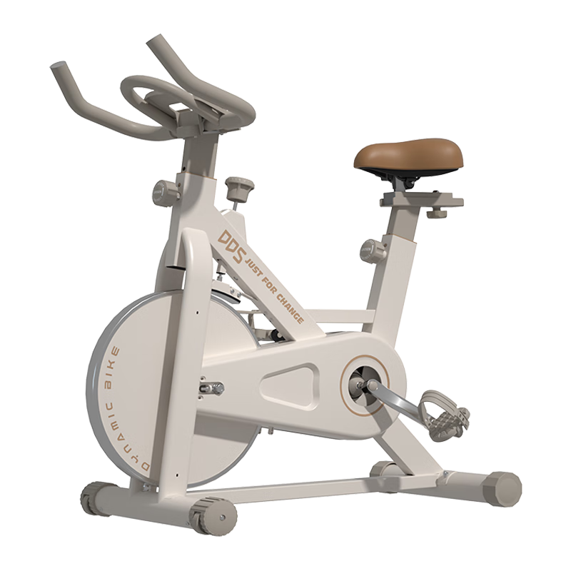DDS Exercise Bike, Home Bicycle, Fitness Equipment, Indoor Bicycle, Workout Gear, DDS9322K
