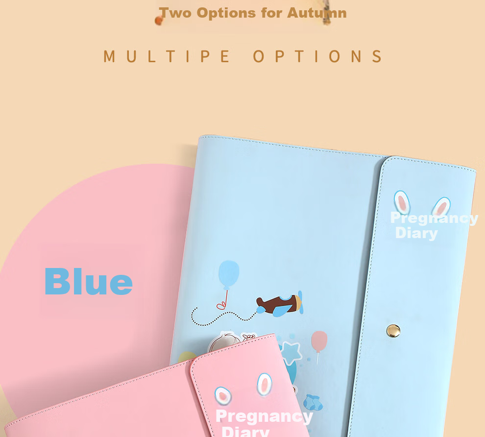 Jiaranheng Pregnancy Check-Up Organizer, Prenatal Report A4, Pregnancy Record Book, File Storage Pouch, Loose-Leaf Portable B-Ultrasound Examination Form, File Folder, Large Capacity Collection Book, Blue 3