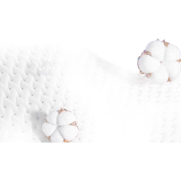 White Image 2