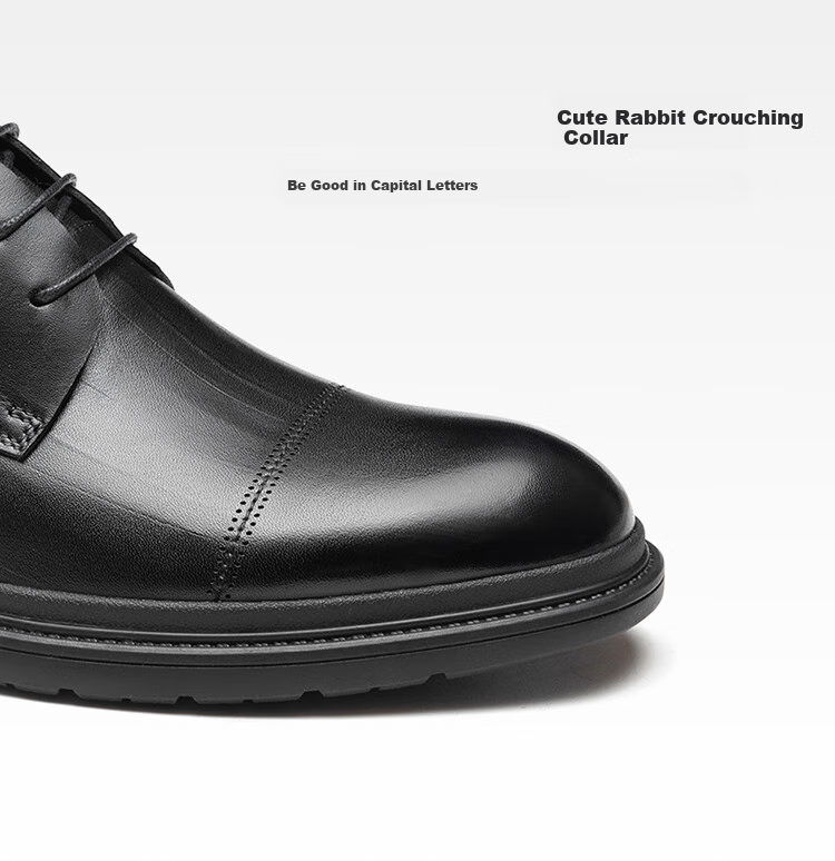Aokang Men's Shoes, Spring Business Formal Leather Shoes, Men's Work Commute Lace-Up Leather Shoes, Black, Size 39 6