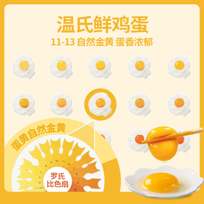 温氏供港鲜鸡蛋40枚/4斤家庭装 杂粮喂养 生鲜鸡蛋  牛奶早餐健康食材