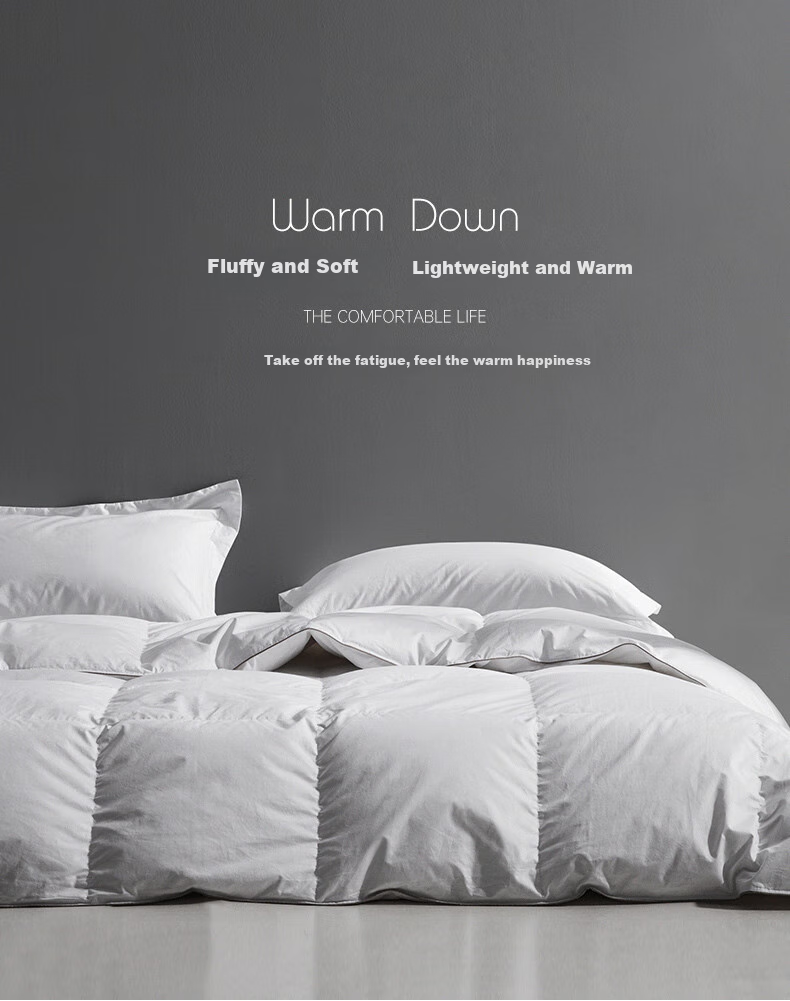 Sinuoman High-Quality 100% Imported 95% White Goose Down Duvet Insert, Comforter for Air Conditioning And Heating, 2.2*2.4m, 320g Filling, Gray 10