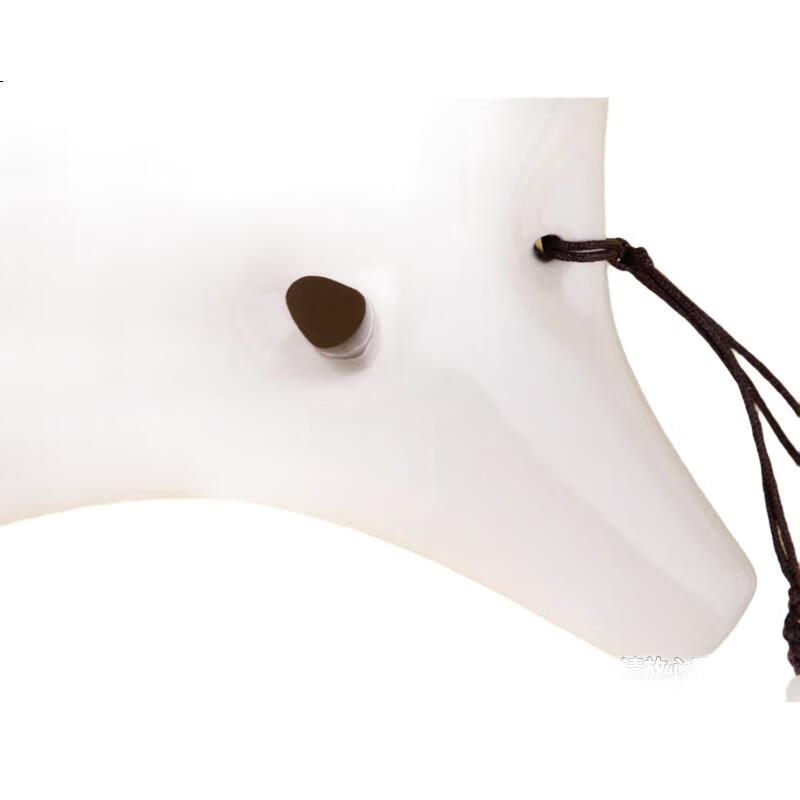 White Image 1
