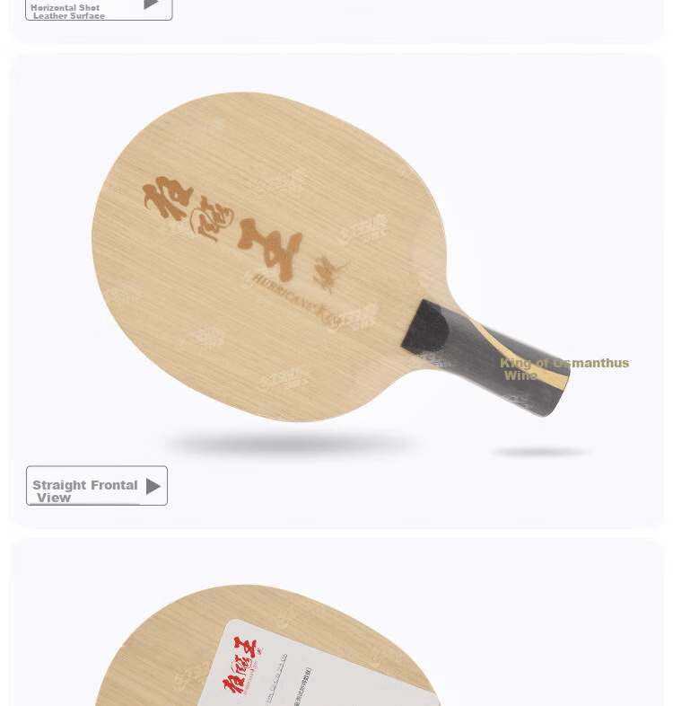 DHS Kuangbiao Wang Wang Chulin Same Model Blade, Built-In Carbon Fiber Table Tennis Blade, Table Tennis Racket, Penhold Grip FL 5