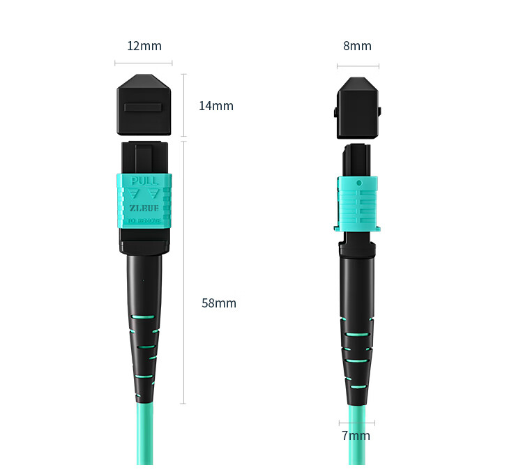 8-Core MPO-MPO Fiber Optic Patch Cord Female B Polarity Compatible MTP OM3 Multimode 10G/40G/100G Optical Module Bundle Fiber Cable 20m Q3-PP820 9