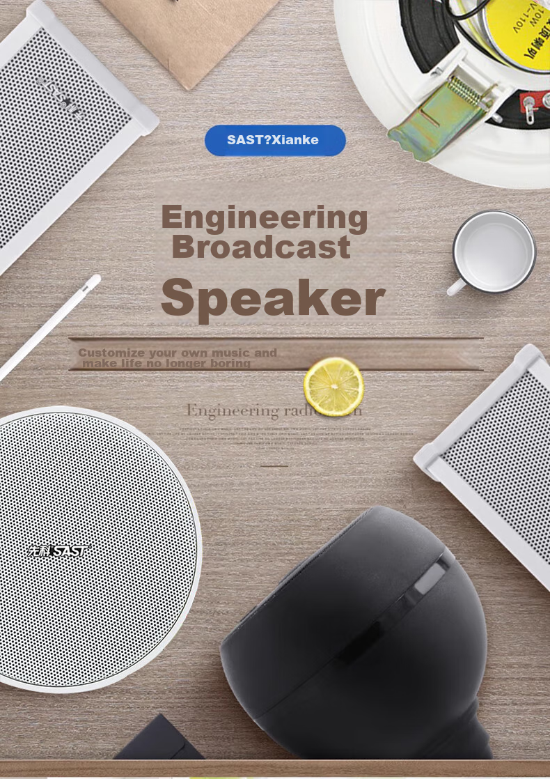 SAST 6-Inch Constant Voltage Ceiling Speaker, Recessed Ceiling Background Music System, Embedded Public Address Speaker for Shopping Malls And Stores TH1-6 2